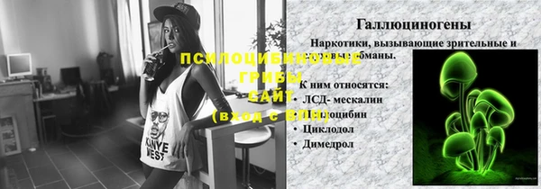 дмт Алексин