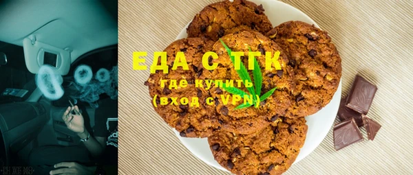 индика Алзамай