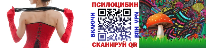 Псилоцибиновые грибы GOLDEN TEACHER  hydra рабочий сайт  Андреаполь  где продают  
